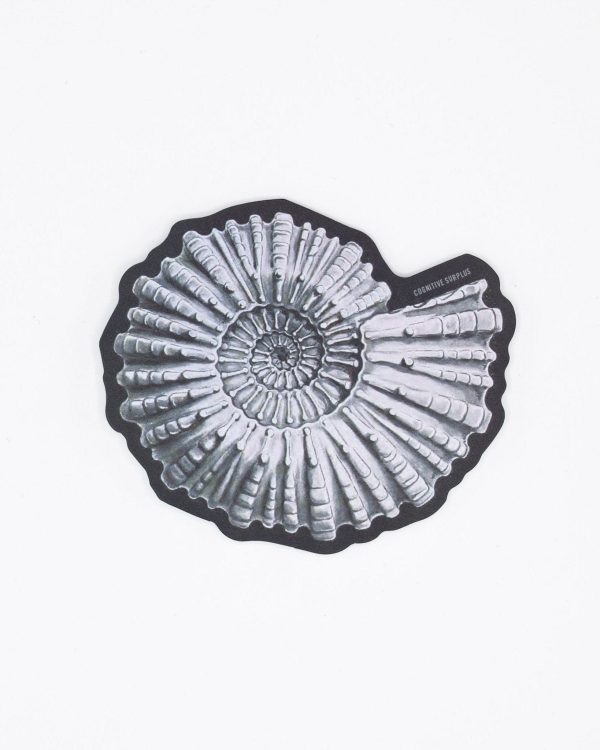 Ammonite Fossil Sticker Online now - Image 2