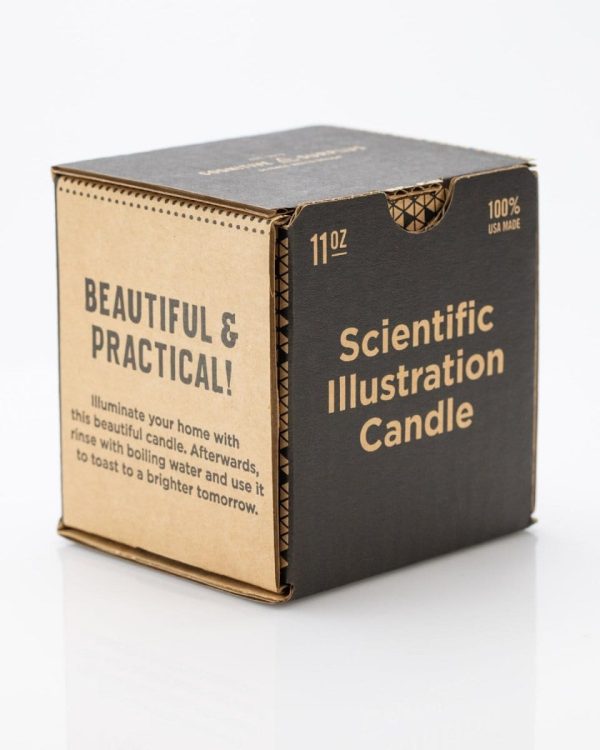 Fern Cocktail Candle Online - Image 4